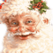 santa clause pere noel - Free PNG Animated GIF