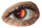 eye - zadarmo png animovaný GIF