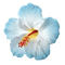 hibiscus - bezmaksas png animēts GIF