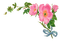 flores*kn* - kostenlos png Animiertes GIF