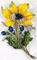 kwiat - Nemokamas animacinis gif