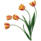 Kaz_Creations Deco Flowers Colours - gratis png geanimeerde GIF
