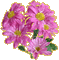 Bouquet of pink  flowers glitter