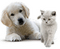 chien - png gratuito GIF animata