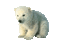 Kaz_Creations Animated Polar Bear