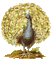 Peacock-NitsaP - GIF animado gratis GIF animado