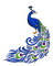 Peacock bp - PNG gratuit GIF animé