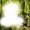 Frame Forest - PNG gratuit GIF animé