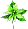 Flower.Green - PNG gratuit GIF animé