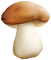 Pilz, Herbst, mushroom - безплатен png анимиран GIF
