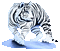 tigre - Ilmainen animoitu GIF animoitu GIF