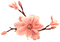 Kaz_Creations Deco Flowers Colours - 免费PNG 动画 GIF