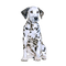 dog-- minou52 - bezmaksas png animēts GIF