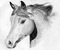 magnifique cheval - бесплатно png анимированный гифка