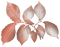 blad kvist-leaf - zadarmo png animovaný GIF