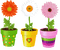 fleur - png gratis GIF animado
