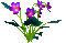 cecily-fleurs - Бесплатни анимирани ГИФ анимирани ГИФ