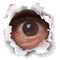 eyes peeking - Zdarma animovaný GIF animovaný GIF