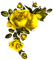 flower-rose-yellow - PNG gratuit GIF animé