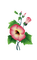 fleur, Pelageya