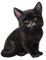 Chat noir:) - Free PNG Animated GIF