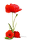 Fleur - Free PNG Animated GIF