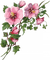 Kaz_Creations Deco Corner Flowers Colours - 無料png アニメーションGIF