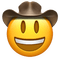 Cowboy Hat Face - bezmaksas png animēts GIF