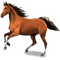 cheval - darmowe png animowany gif