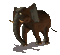 cecily-animation elephant