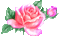 rose - GIF animate gratis GIF animata