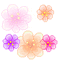lovely flowers - Бесплатный анимированный гифка анимированный гифка