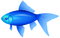 fish - Free PNG Animated GIF