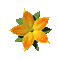 fleur orangée animée