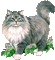 Katze, chat, cat - 無料のアニメーション GIF アニメーションGIF