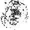 черная луна - Бесплатный анимированный гифка анимированный гифка
