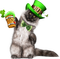 Chat St-Patrick:) - Free PNG Animated GIF