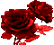 roses - Бесплатни анимирани ГИФ анимирани ГИФ