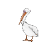 pelikan - Bezmaksas animēts GIF animēts GIF