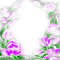Y.A.M._Spring Flowers frame - PNG gratuit GIF animé