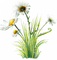 fleur - 免费PNG 动画 GIF