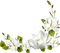 Fleurs.Jasmins.Flowers.Coin.Deco.Victoriabea - PNG gratuit GIF animé