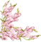 flower frame cadre - nemokama png animuotas GIF