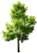 arbre - kostenlos png Animiertes GIF