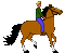 cavalier(cheval) HD - Zdarma animovaný GIF animovaný GIF