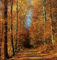 Rena Glitter Herbst Hintergrund Wald - GIF animado gratis GIF animado