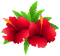 Kaz_Creations Flowers Flower - PNG gratuit GIF animé