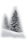 fir, tree - безплатен png анимиран GIF