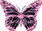 papilon - Nemokamas animacinis gif animuotas GIF