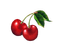 fruits dm19 - Free PNG Animated GIF